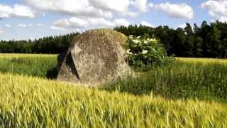 preview picture of video 'Okolice wioski Rokita -pomnik przyrody -Głaz Flemingów'