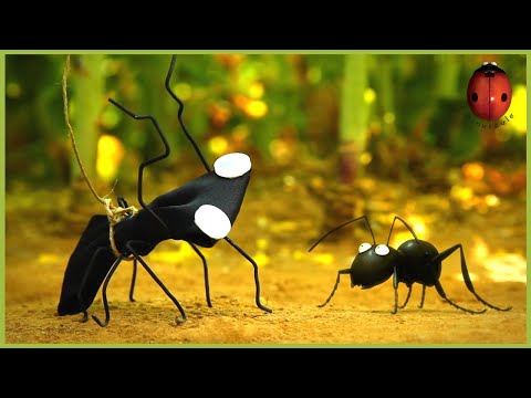 An Acorn Season | Minuscule 🍃 20' Compilation