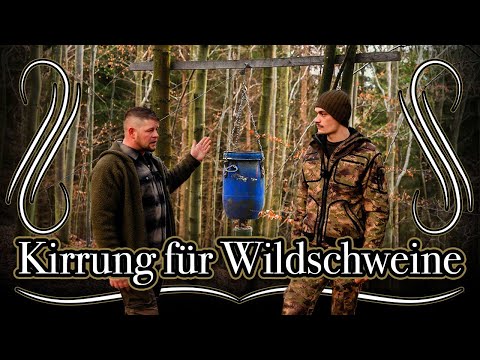 Schwarzwild Kirrung richtig anlegen & selber bauen - Tipps für Jungjäger #nordjagd