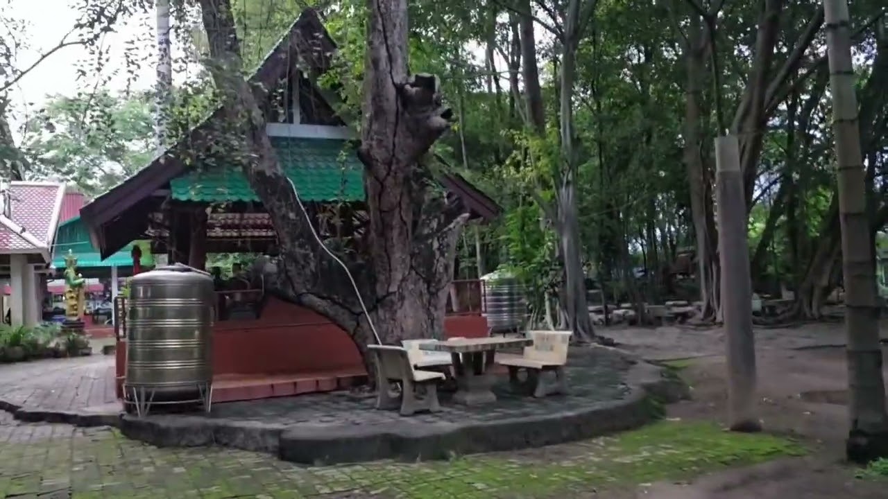 Wat Ton Tan Ton