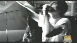 Alexisonfire - No Transitory