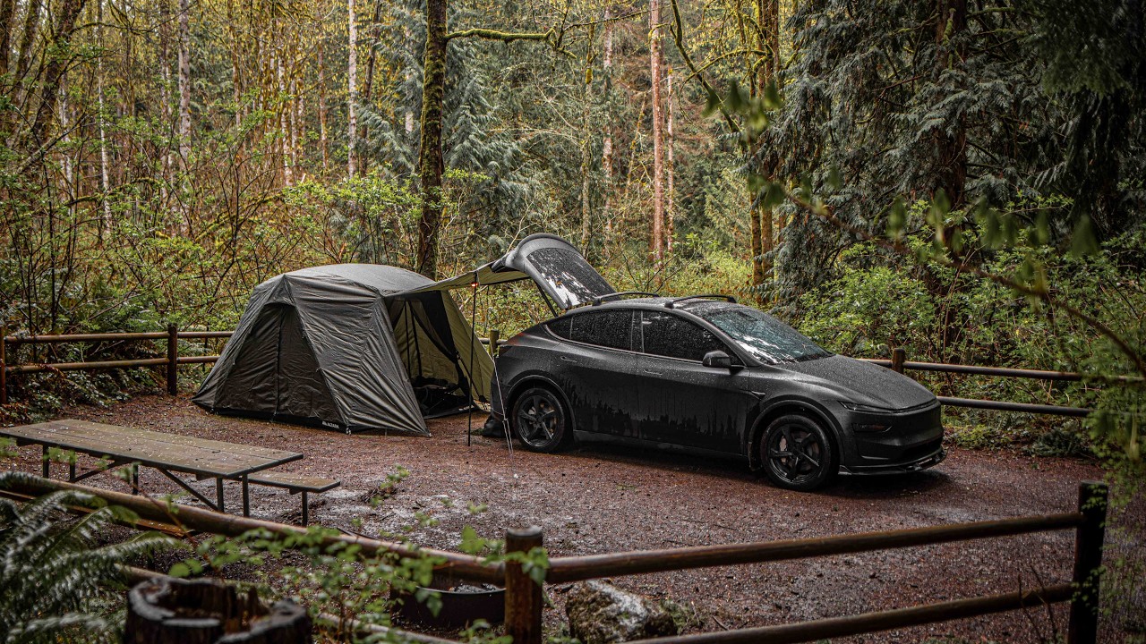 Relaxing Solo Camping with Dog in the Rain with Tesla / Altara Arcadia