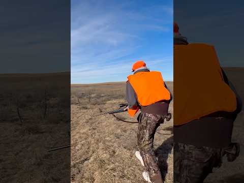 Got Up Close to a Deer #deerhunting #hunting #deerseason #subscribetomychannel #blowthisaccountup