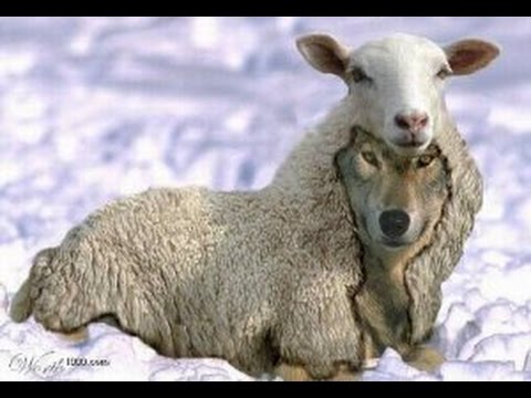 Walter Veith - Strange Fire  Total Onslaught