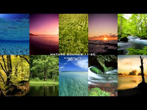 Nature Sound Collection 11-20 - Super Long Nature Sound 8hour -