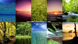 Nature Sound Collection 11-20 - Super Long Nature Sound 8hour -