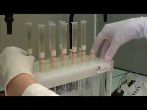 Solid Phase Extraction process - AFFINISEP