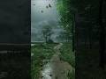 Rainy Weather Whatsapp Status ️