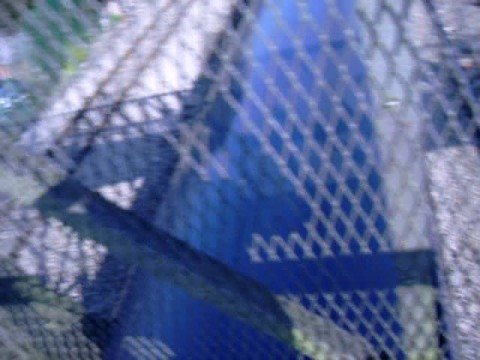 fgw 158 and 60054 returns with another good 3tone