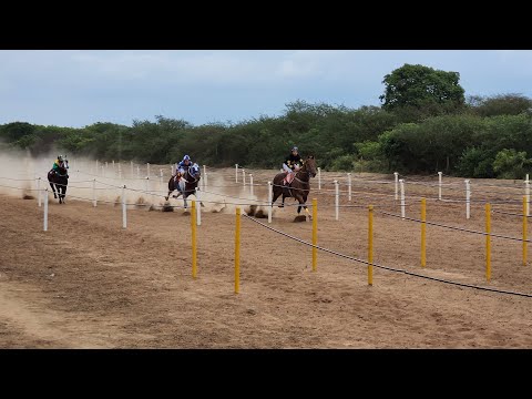 IV GP NATALINO & PENCA BICO SECO