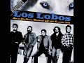 COME ON LETs GO | LOS LOBOS LYRICS