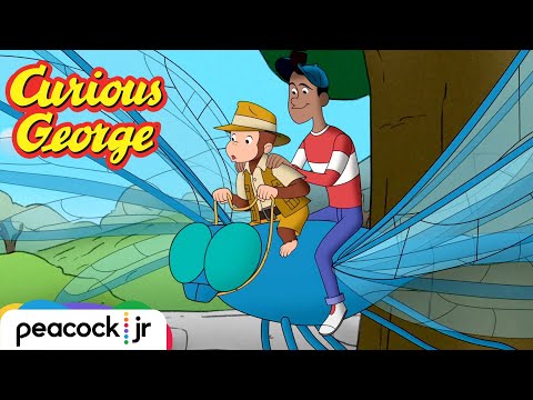 Big Bugs, Tiny George | CURIOUS GEORGE
