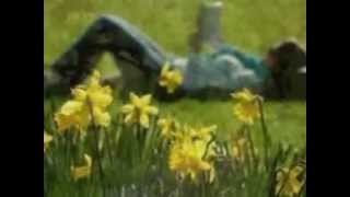 The Pat Metheny Group  -   Spring Ain't Here  (1989)