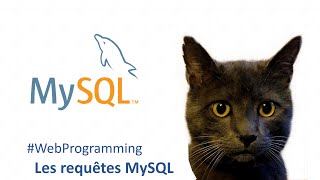 Les requêtes avec MySQL en 12 min | Programmation web 8
