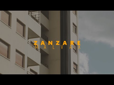 video frame placeholder
