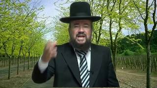 פרשת שלח לך – סוגה בשושנים