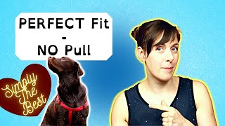 BEFORE You Buy A Harness OR Collar WATCH THIS | BEST Dog Har