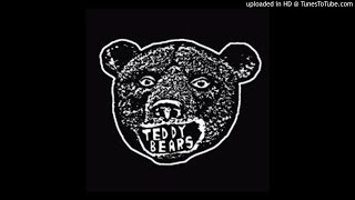 Teddybears - Ninja