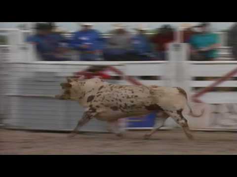 Bandit steps on Wade Schalla - 95 PBR Del Rio