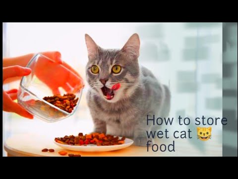 How to store wet cat 🐈 food 🥫