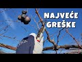 GREŠKE U Rezidbi VINOVE LOZE Koje Morate Izbjegavati