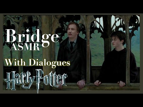 With Dialogues | Harry Potter and Remus Lupin on the Bridge Ambiance ASMR W/ Calm Music in Hogwarts