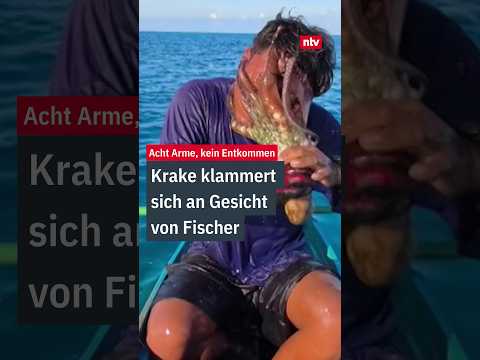 Video Thumbnail: Philippinen: Krake klammert sich an Fischers Gesicht | #ntv