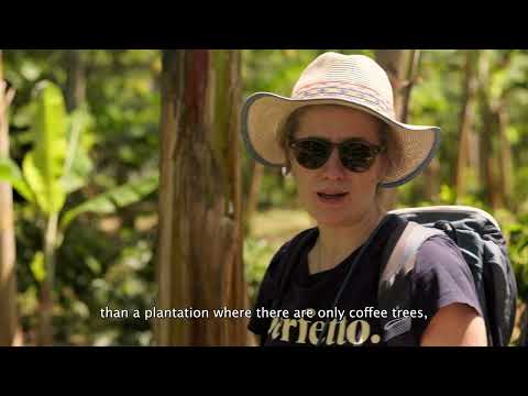 Flores e polinizadores: biodiversidade para um café melhor