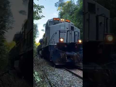 DASH9 - 8315 Rio Negro sentido Lapa PR- Brasil #trensbrasil #ferroviabrasileira #trains #railfan