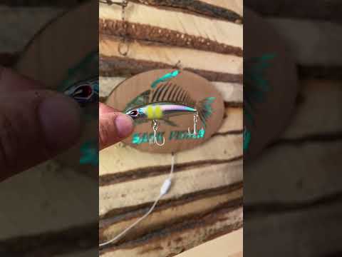 Amazing Looking Fishing Lure! Must Try!