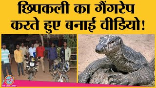 Bengal Monitor Lizard से गैंगरेप का चौंकाने वाला केस सामने आया, Sahyadri Reserve की घटना