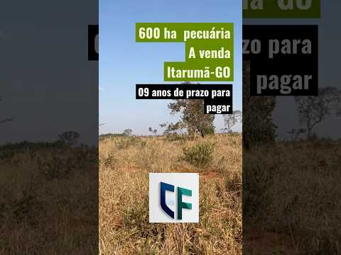 Fazenda com prazo longo. 09 anos de prazo! Fazenda de pecuária a venda em Itarumã - GO.