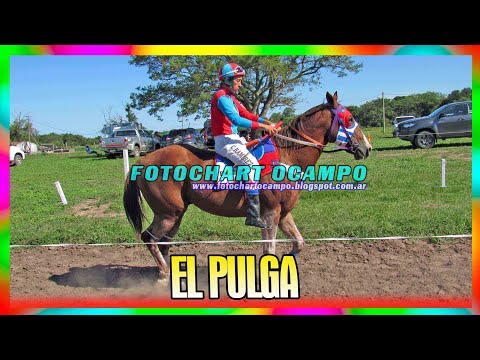 EL PULGA - Capitán Solari - Chaco 09/03/2024