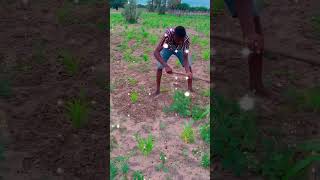 When I’m at my mother’s house