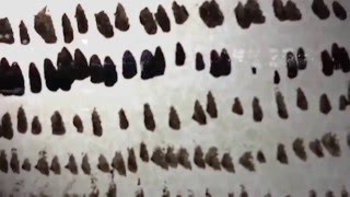 THE CHILDREN OF LIR Video Piece