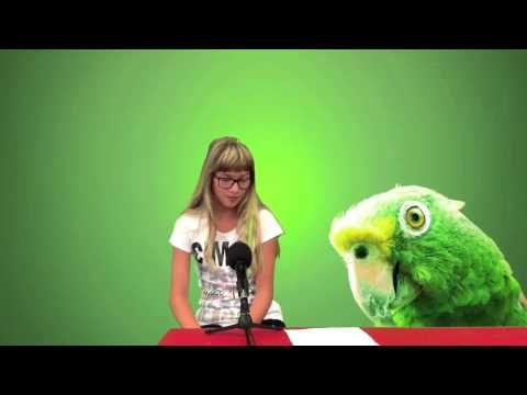 Jeugdvakantieland 2014 - Laura