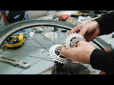 CUSTOM ROAD BIKE BUILD  Wilier FILANTE + Campagnolo RECORD