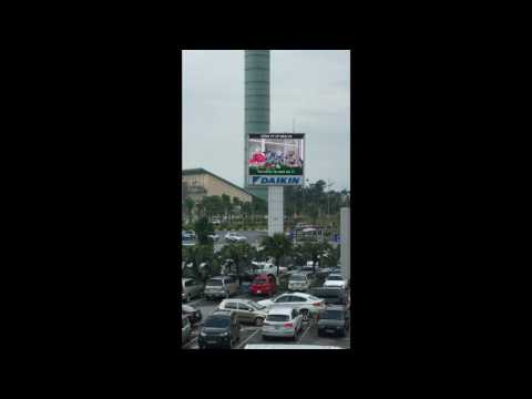 Video dự án