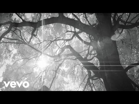 Herve - Last Lovers Left Alive (feat. Rothchild)