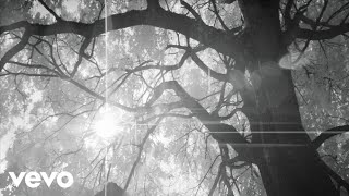 Herve - Last Lovers Left Alive (feat. Rothchild)