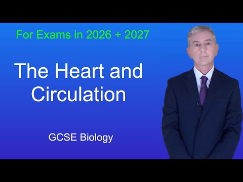 GCSE Biology Revision "The Heart and Circulation"