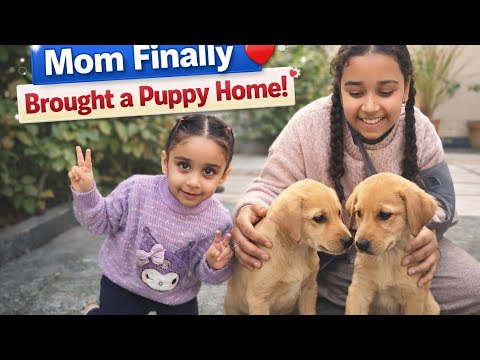 “Mom Finally Brought a Puppy Home 🐶❤️”