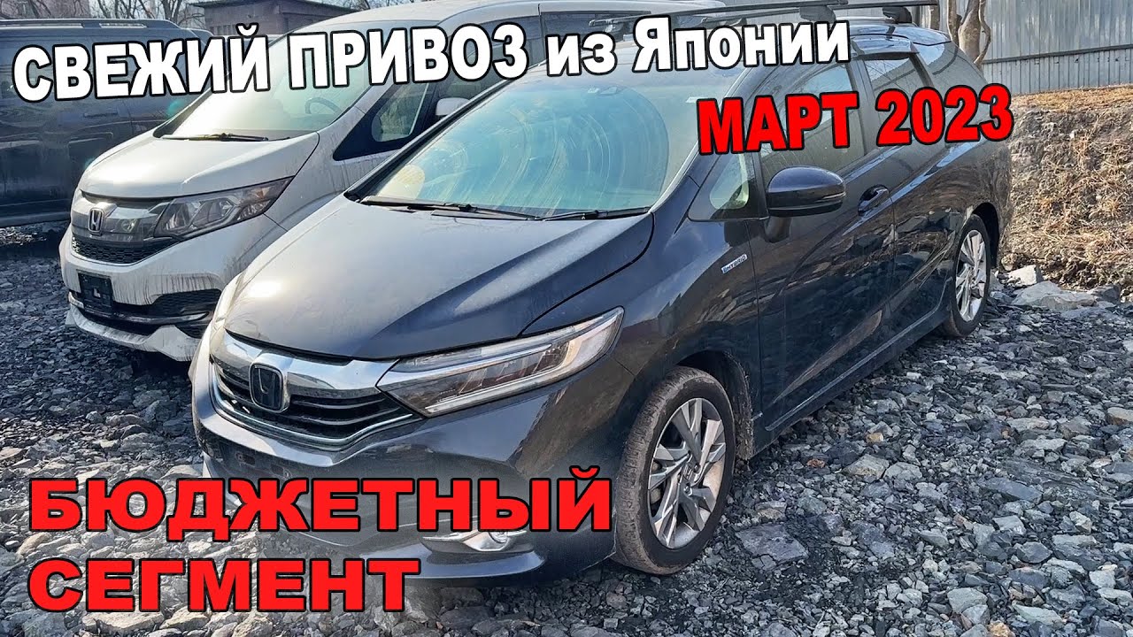 что покупают из японии март 2023? обзор стоянки!