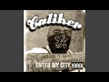 Caliber (G Spot Remix)
