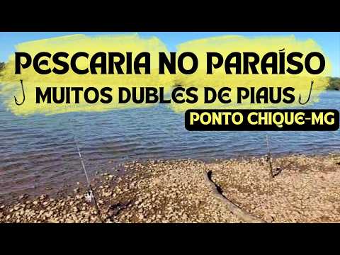 PESCARIA DE PIAUS NO PARAÍSO CHAMADO PONTO CHIQUE-MG. #VELHOCHICO