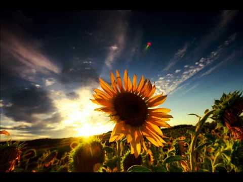 AurA feat. Danielle Senior - Every Emotion (Carlos Remix)