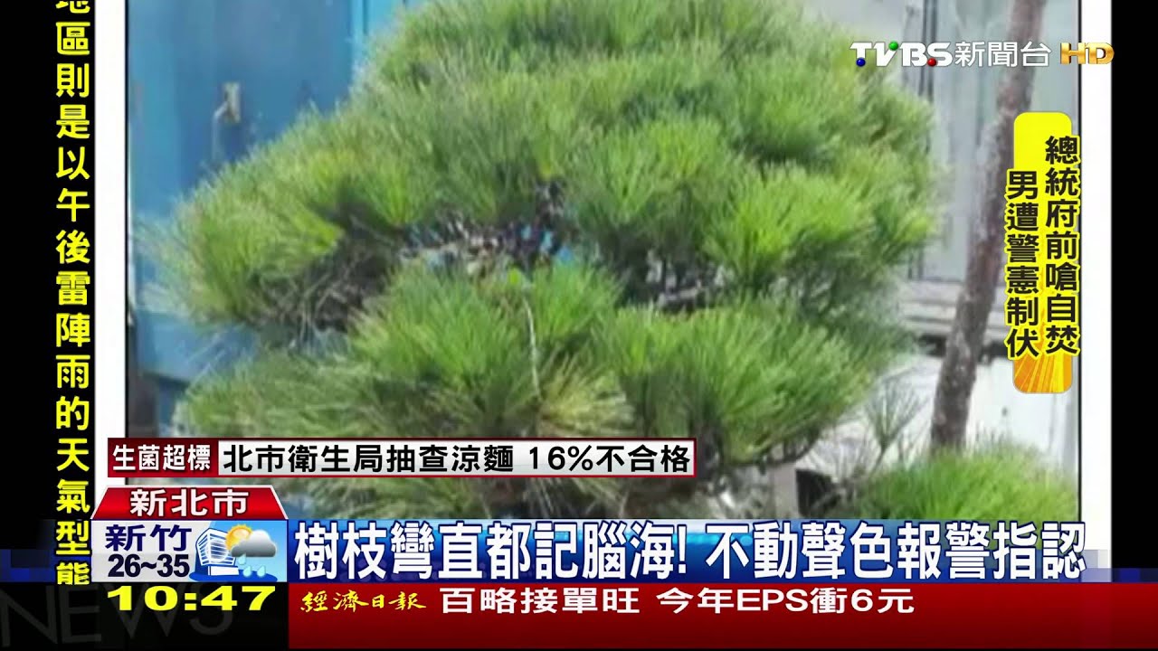「花草都我在修剪」　園藝師父意外揪雅賊
