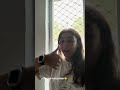 It S Day 12 Julia Eats A Mango Adventist Adventistchurch Adventistmission