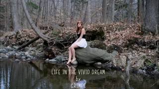 Life in the vivid dream by Grimes (cover)