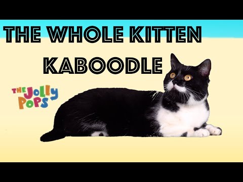 The Jolly Pops - "The Whole Kitten Kaboodle" [Official Music Video]